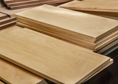 Construction Services (21)